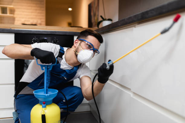 Best Pest Inspection Near Me  in Pagould, AR