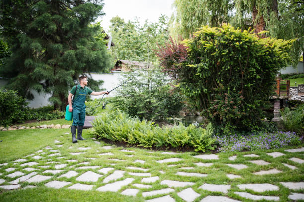Best Local Pest Control Services  in Pagould, AR