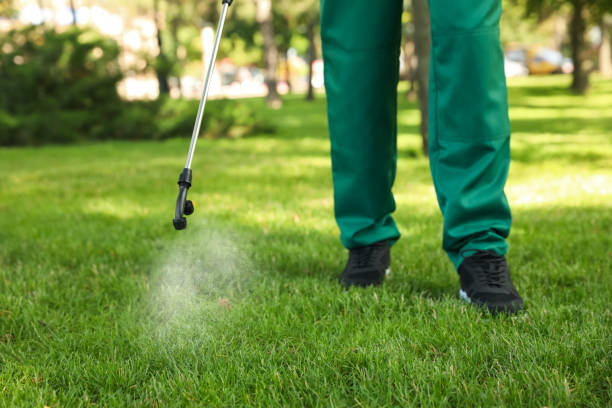 Pest Control Cost in Paragould, AR
