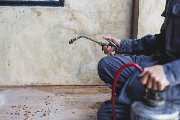 Best Pest Prevention Services  in Pagould, AR