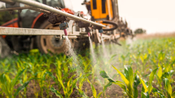 Professional Pest Control in Paragould, AR